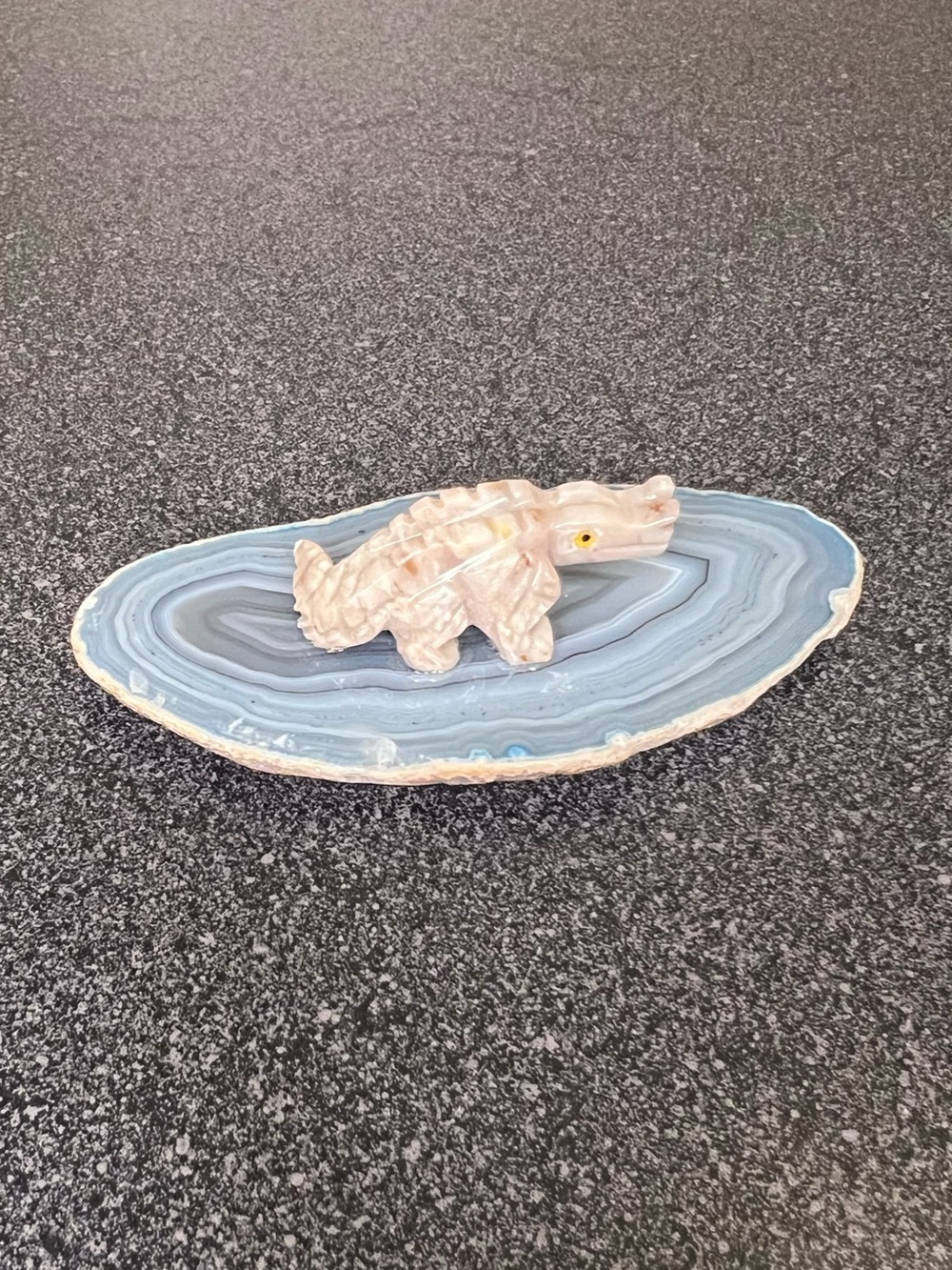Alligator Stone on Blue Agate Magnet